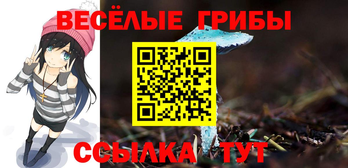 Псилоцибиновые грибы мицелий  Псилоцибиновые грибы ЛСД  цена наркотик  Железноводск  Вход с VPN 
