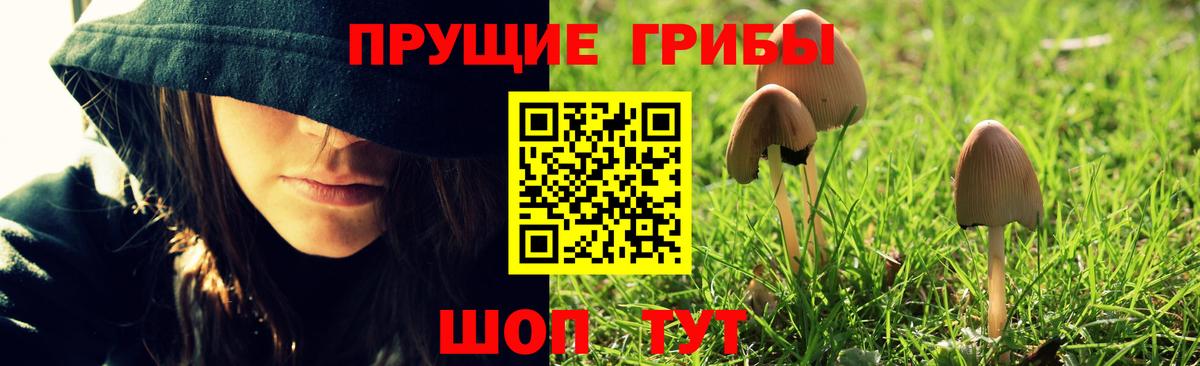 Галлюциногенные грибы прущие грибы Железноводск